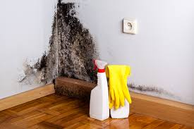 Best Mold Remediation for Healthcare Facilities in Wmington, IL